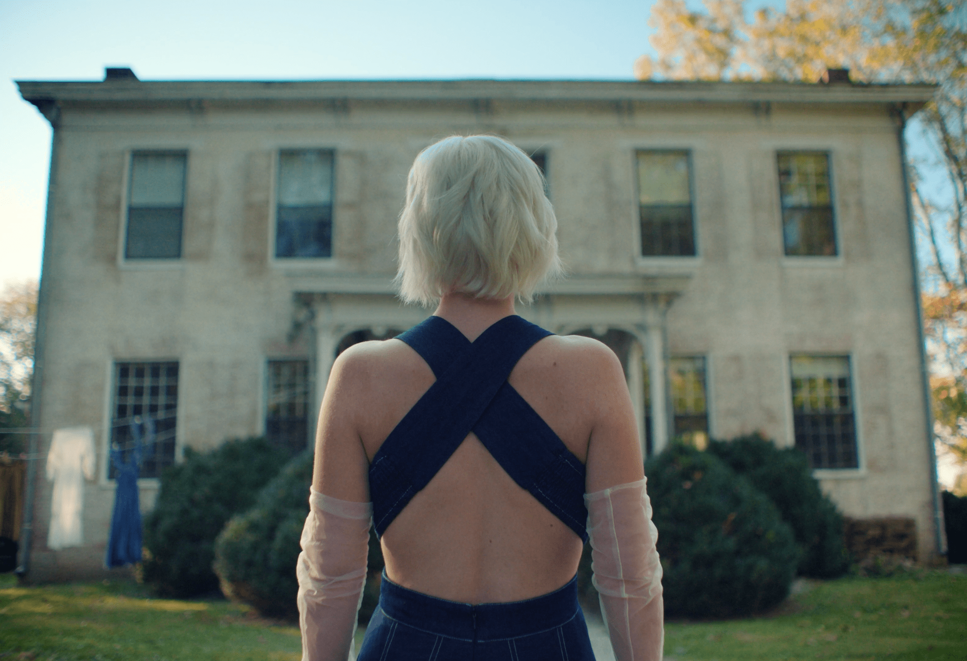 Maggie Rose • Fake Flowers